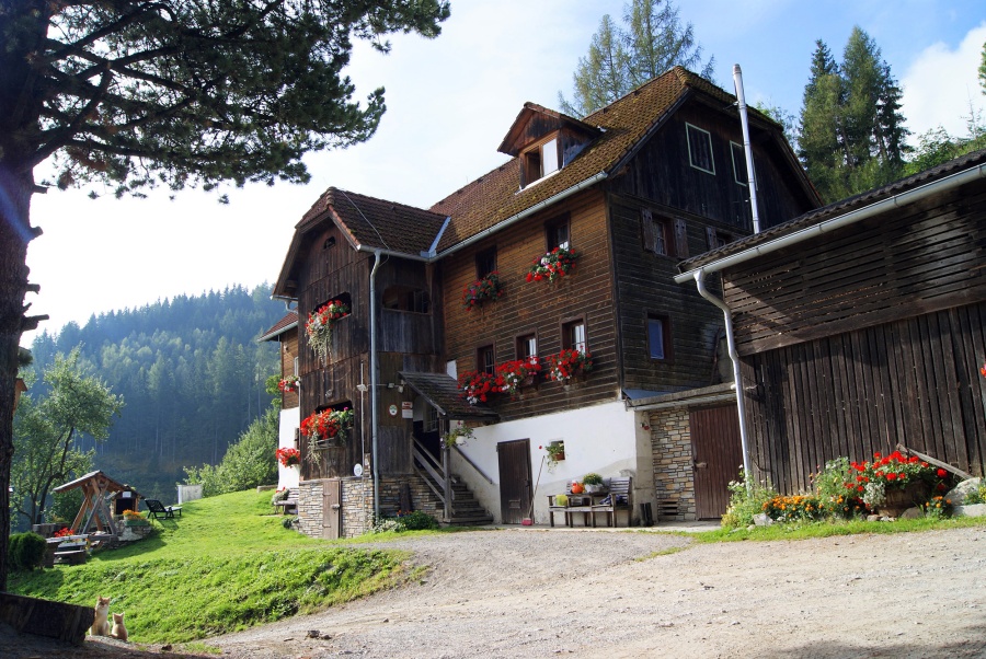 Speckbauer, St. Peter am Kammersberg, Urlaub am Bauernhof