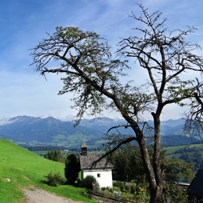 Speckbauer, Urlaub am Bauernhof in St. Peter am Kammersberg. 